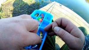 Ловим форель на бомбарду.