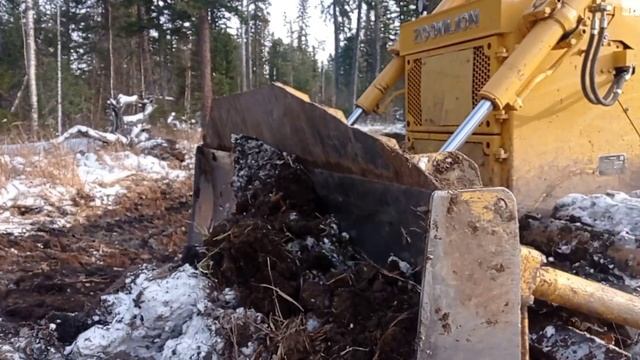 дорога+болото смотреть онлайн