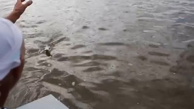 Первые шаги в рыбалке, база "Клевый берег" смотреть онлайн