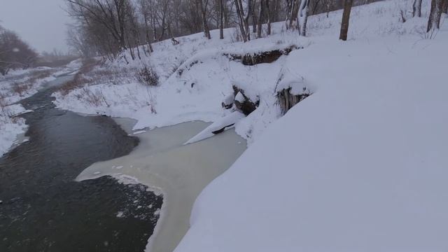 Преступление держать лабрадора в квартире, когда такая погода на улице. смотреть онлайн