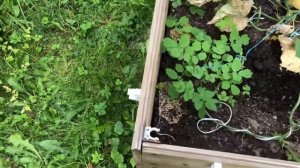 Как сделать разборный парник своими руками из полипропиленовых труб