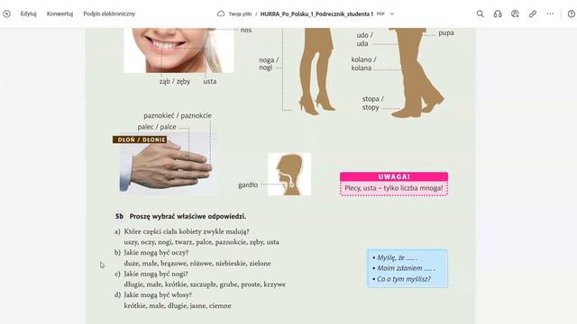 Вивчаємо/повторюємо польську мову. Урок 15.4 смотреть онлайн