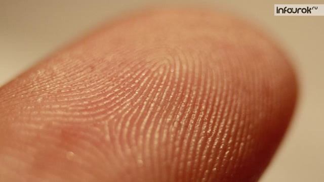 Зачем нужна гигиена. Кожа и ее значение. Особые образования кожи смотреть онлайн