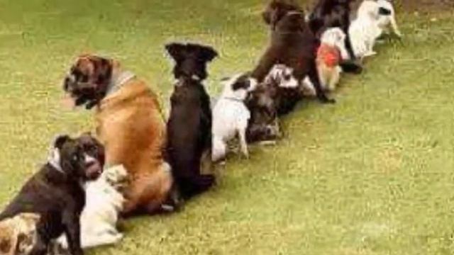 No Soy de Aqui, ni de Alla - Soy un Hybrid...Americano-Colombiano! смотреть онлайн