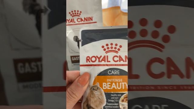 На сколько затратно содержать породистого кота…