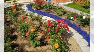 Розарий своими руками на даче. Розы в ландшафте: дизайн двора. Идеи для дачи и сада