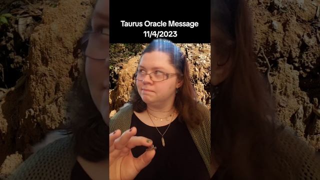 Taurus Oracle Message 11/4/2023 #taurus #believeinyourself #oracle #soulshine #tarotreader смотреть онлайн