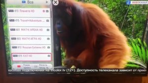 CI+ Триколор ТВ, как вернуть пропавшие каналы? Анаплазия антеннщика