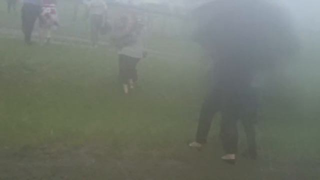 гербер 2011 смотреть онлайн