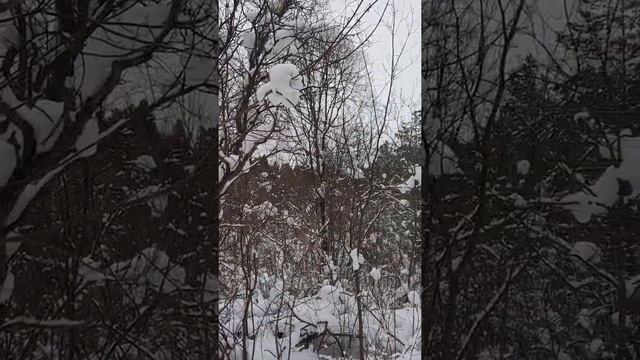 Снега нанесло! #relax смотреть онлайн