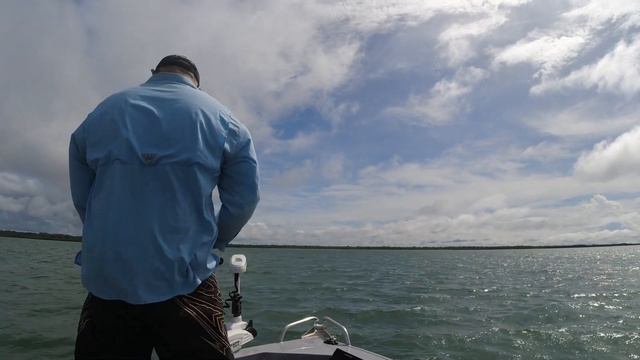 How to catch TUSKFISH on Soft Plastics смотреть онлайн