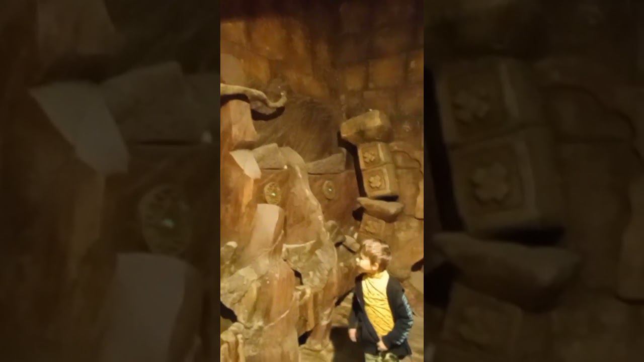 Туалет мечты смотреть онлайн