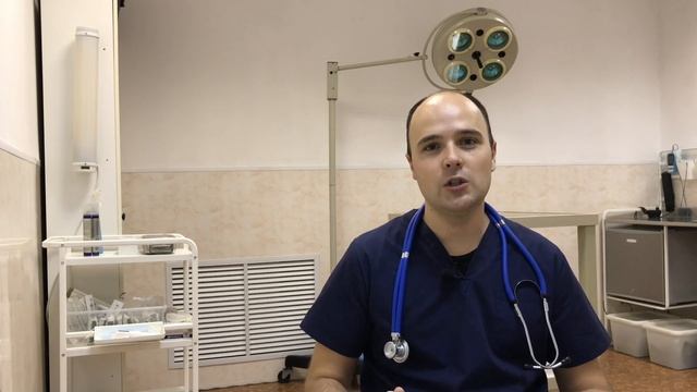 Как часто обрабатывать кошку от блох, глистов и клещей смотреть онлайн