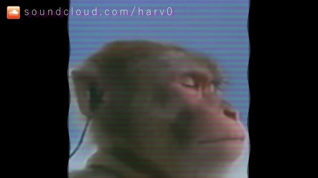 Monkey Type Beat (1 HOUR LOOP) смотреть онлайн