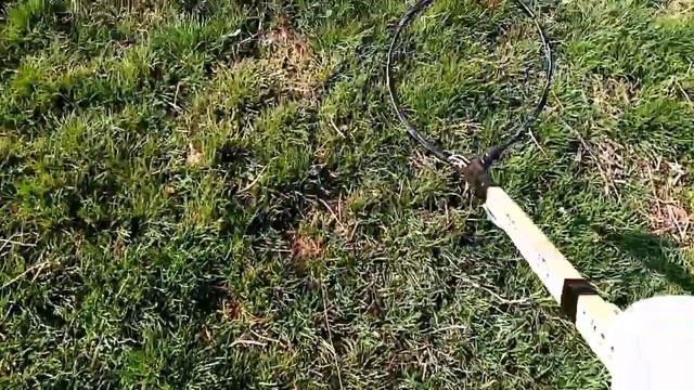 Импульсный металоискатель (Radio-Kit K-158) смотреть онлайн