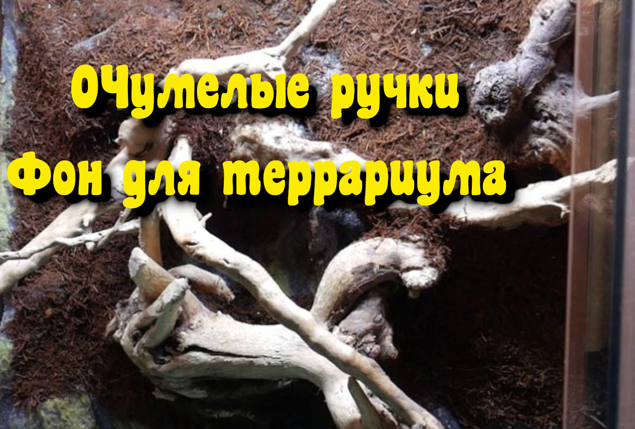Фон для террариума своими руками. Оформляем террариум для лягушек.