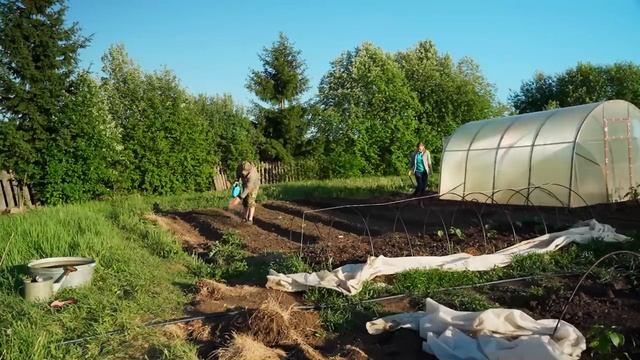 ЖИЗНЬ В ДАЛИ ОТ ЦИВИЛИЗАЦИИ смотреть онлайн