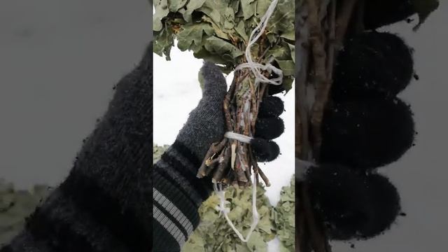Обзор деревенского дуба смотреть онлайн
