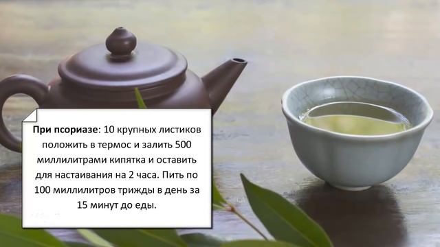 Лавровый лист лечебные свойства смотреть онлайн