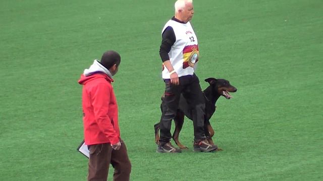 XXIV COPA JOSE LUIS CARDO & NICO DE COVALTA C93 смотреть онлайн