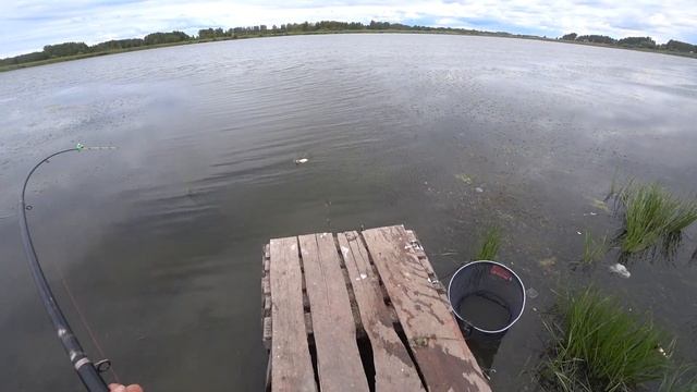 Ловля карася на пенотесто . Карась жирует перед зимой . смотреть онлайн