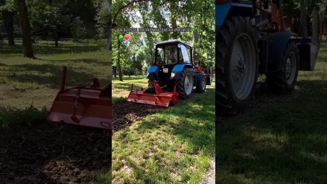 #сад #ландшафт #природа #искусство #алтай #АГУ смотреть онлайн