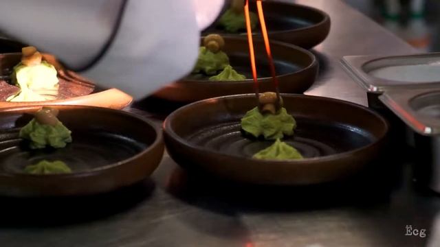 Презентация нового меню Винотеррия 2018 смотреть онлайн