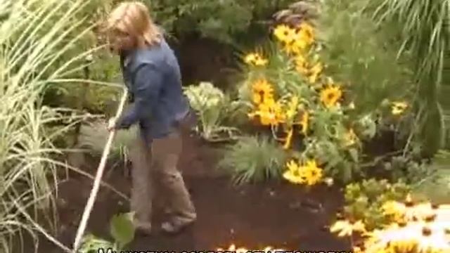 Как создать сад дождя на Вашем дворе (переведено ландшафтной студией ДриадаС) смотреть онлайн