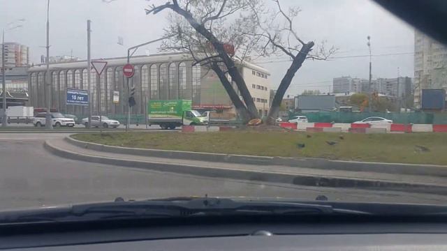 Дяденька принимает солнечные ванны смотреть онлайн