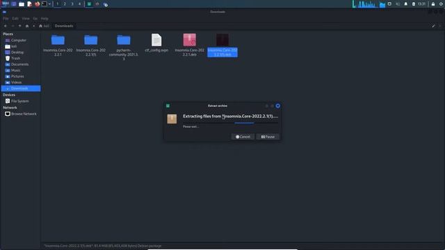 Como "instalar" o Insomnia no Kali Linux смотреть онлайн
