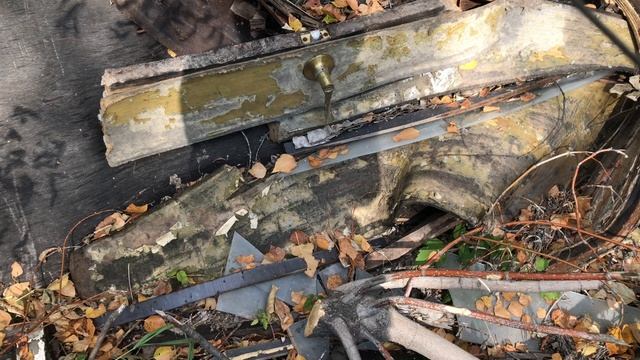 Буся изучает новый участок и заинтересовалась звуком от соседей смотреть онлайн