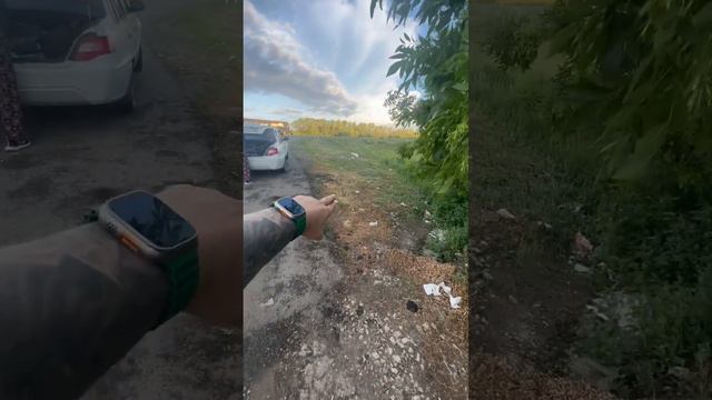 Едем Уфа-Сочи все закутки для отдыха туристы превратили в помойку🤦🏼🤦🏼🤦🏼 смотреть онлайн