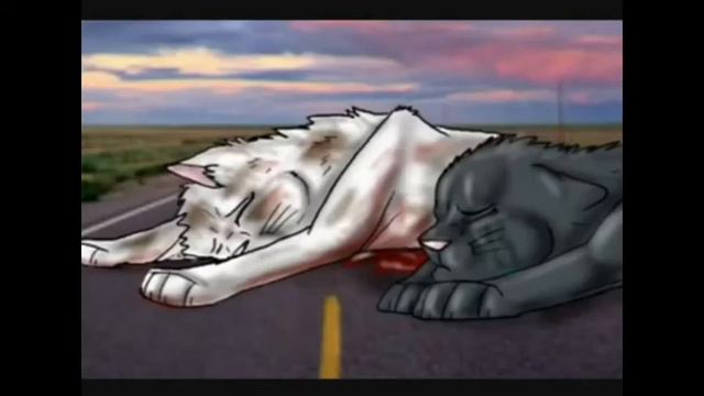 Коты воители смотреть онлайн