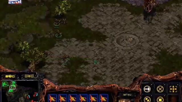 StarCraft Brood War [FPVOD] Notforu Vs Infernal