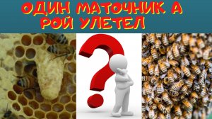 Не допускаем роения. - Отводок на старую матку.