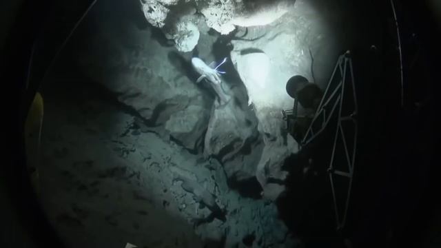 David Attenborough Documentary - Deep Ocean: Lost World Of The Pacific Part 1 & 2 - смотреть онлайн