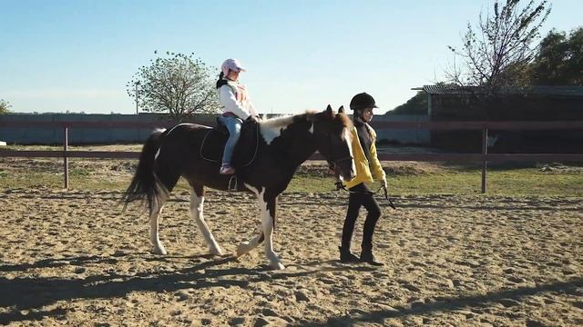Серебряная подкова- конный клуб смотреть онлайн