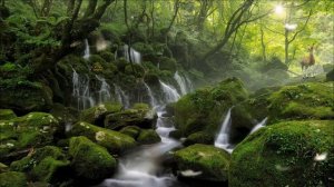 Частота 432 Гц | Музыка для души | Звуки водопада и пение птиц