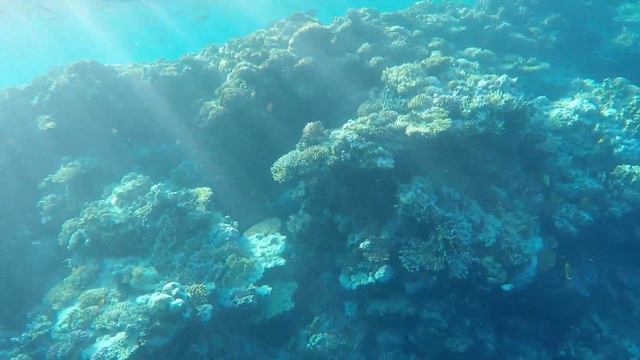 Подробный отзыв о Египте. Шарм Эль Шейх. Отель TUI magic life 5" смотреть онлайн