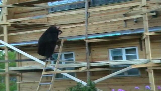 Ты не знаешь, что такое дребезги ? смотреть онлайн