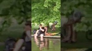 Прага парк "Стромовка"