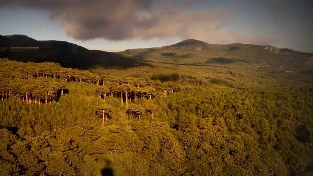 Гора Ай-Петри или 1234 метра над уровнем моря. смотреть онлайн