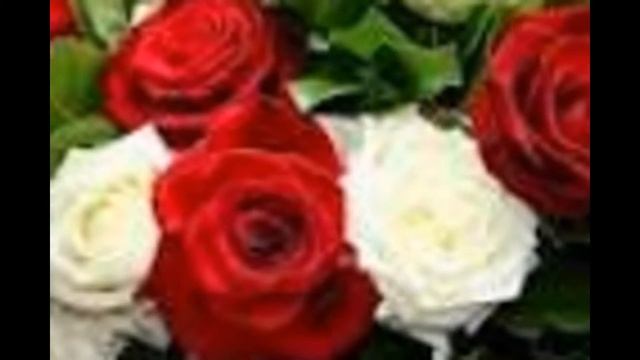 Красивые розы для жены смотреть онлайн