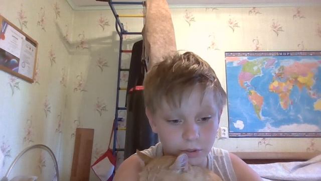 Отдаю кота в хорошие руки!!!!!!!! смотреть онлайн