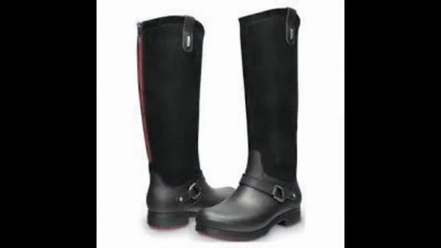 красивые женские сапоги купить