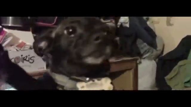 lola le baila asi.... смотреть онлайн