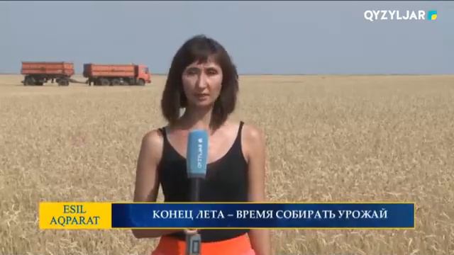 КОНЕЦ ЛЕТА – ВРЕМЯ СОБИРАТЬ УРОЖАЙ смотреть онлайн