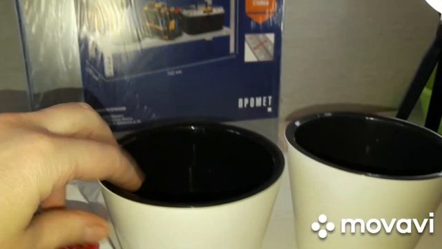 КОМНАТНЫЕ РАСТЕНИЯ(ЦВЕТЫ).ПОКУПКИ ДЛЯ РАСТЕНИЙ И НОВЫЙ СТЕЛЛАЖ. смотреть онлайн