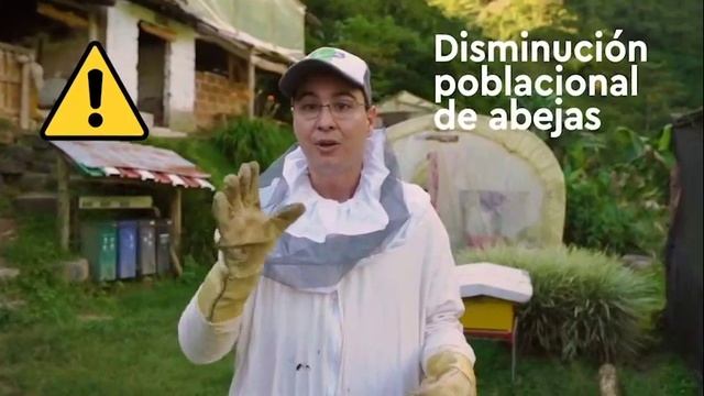 #Videocolumna | ¡Pilas, pongámonos abejas! смотреть онлайн