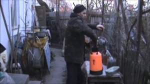 Опрыскиваем виноград солью! 21марта